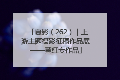夏影（262）｜上游主题摄影征稿作品展——黄红专作品