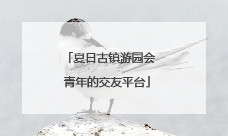 夏日古镇游园会 青年的交友平台