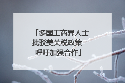 多国工商界人士批驳美关税政策 呼吁加强合作