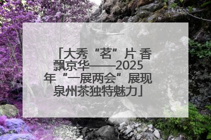 大秀“茗”片 香飘京华——2025年“一展两会”展现泉州茶独特魅力