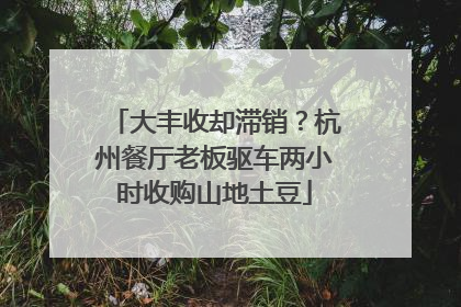 大丰收却滞销？杭州餐厅老板驱车两小时收购山地土豆