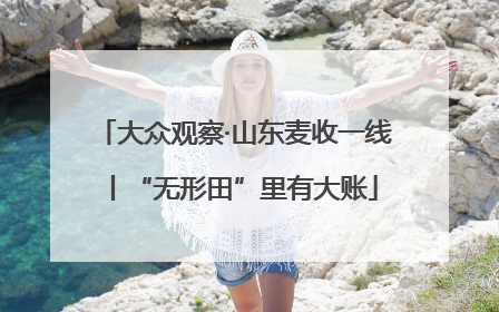 大众观察·山东麦收一线丨“无形田”里有大账
