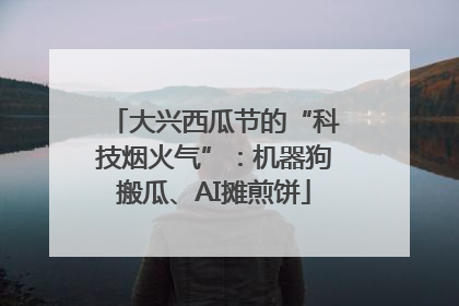 大兴西瓜节的“科技烟火气”：机器狗搬瓜、AI摊煎饼