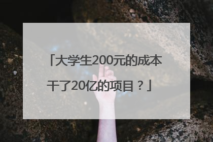 大学生200元的成本干了20亿的项目？