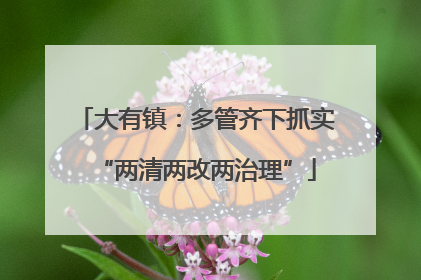 大有镇：多管齐下抓实“两清两改两治理”