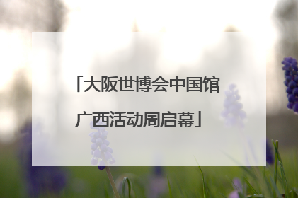 大阪世博会中国馆广西活动周启幕
