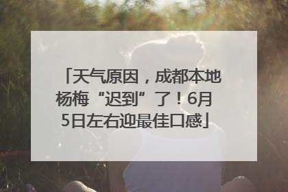 天气原因，成都本地杨梅“迟到”了！6月5日左右迎最佳口感