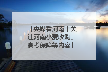 央媒看河南｜关注河南小麦收购、高考保障等内容