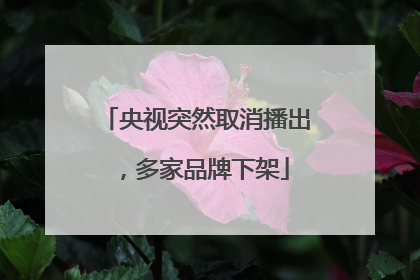 央视突然取消播出，多家品牌下架