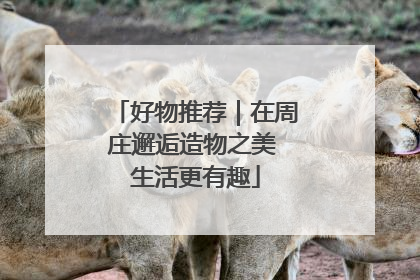 好物推荐｜在周庄邂逅造物之美 生活更有趣