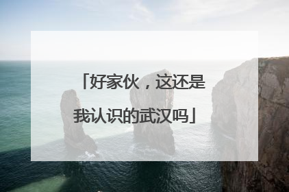 好家伙，这还是我认识的武汉吗