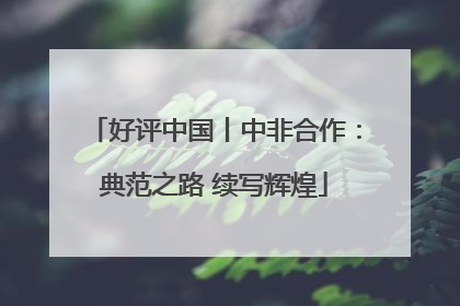 好评中国丨中非合作：典范之路 续写辉煌