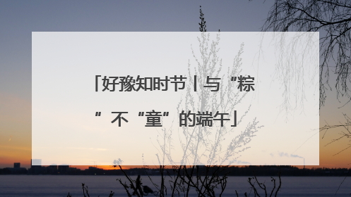 好豫知时节丨与“粽”不“童”的端午