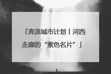 奔流城市计划丨河西走廊的“紫色名片”