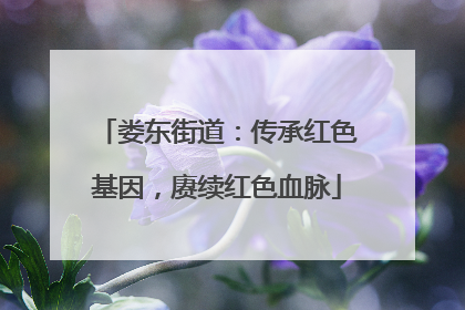 娄东街道：传承红色基因，赓续红色血脉