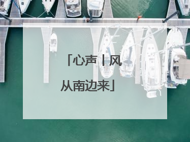 心声丨风从南边来