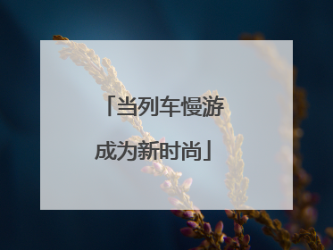 当列车慢游成为新时尚
