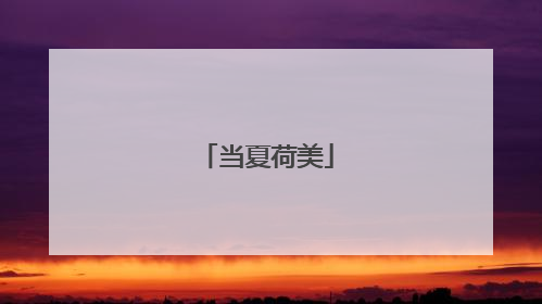 当夏荷美