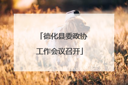 德化县委政协工作会议召开