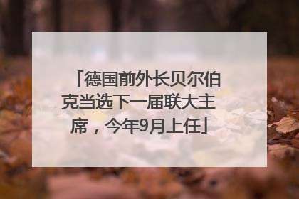 德国前外长贝尔伯克当选下一届联大主席，今年9月上任
