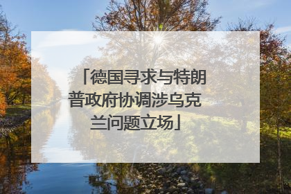 德国寻求与特朗普政府协调涉乌克兰问题立场