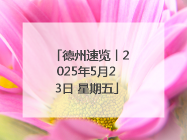 德州速览丨2025年5月23日 星期五