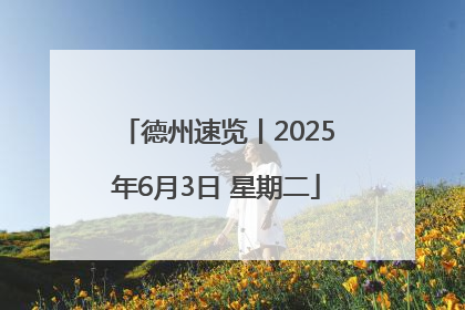 德州速览丨2025年6月3日 星期二