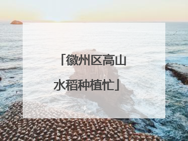 徽州区高山水稻种植忙