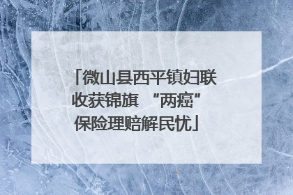 微山县西平镇妇联收获锦旗 “两癌”保险理赔解民忧