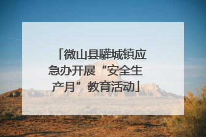 微山县驩城镇应急办开展“安全生产月”教育活动