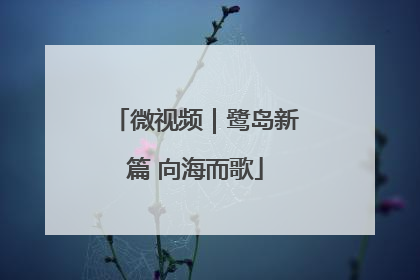 微视频｜鹭岛新篇 向海而歌