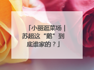 小丽逛菜场｜苏超这“鹅”到底谁家的？