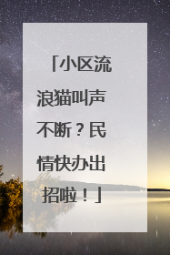 小区流浪猫叫声不断？民情快办出招啦！