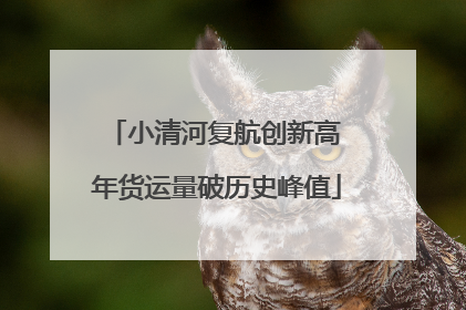 小清河复航创新高 年货运量破历史峰值