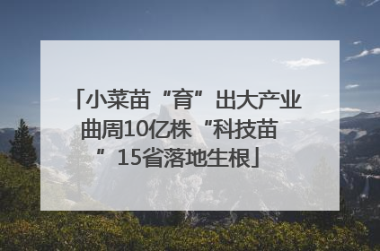 小菜苗“育”出大产业 曲周10亿株“科技苗”15省落地生根