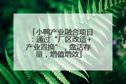 小鸭产业融合项目：通过“厂区改造+产业置换”，盘活存量，增值增效