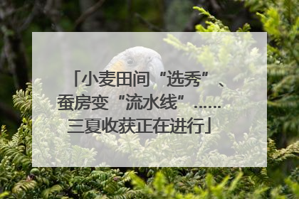 小麦田间“选秀”、蚕房变“流水线”……三夏收获正在进行