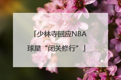 少林寺回应NBA球星“闭关修行”