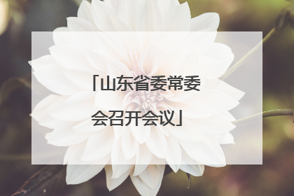 山东省委常委会召开会议