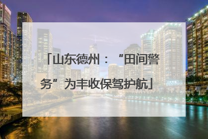 山东德州：“田间警务”为丰收保驾护航