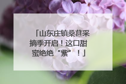 山东庄镇桑葚采摘季开启！这口甜蜜绝绝“紫”！