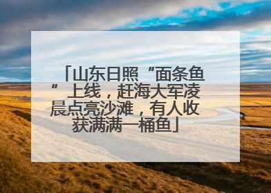 山东日照“面条鱼”上线，赶海大军凌晨点亮沙滩，有人收获满满一桶鱼