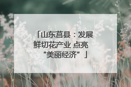 山东莒县：发展鲜切花产业 点亮“美丽经济”