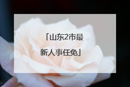 山东2市最新人事任免