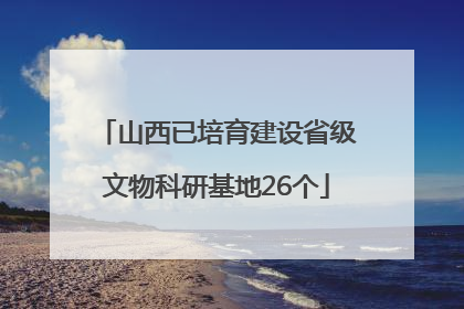 山西已培育建设省级文物科研基地26个