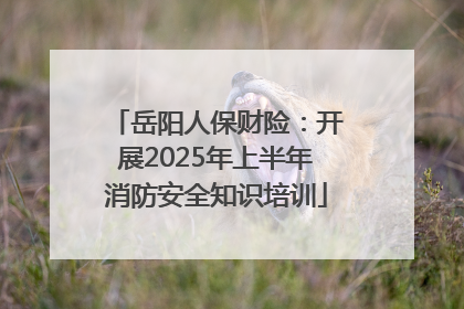 岳阳人保财险：开展2025年上半年消防安全知识培训
