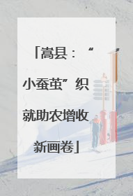 嵩县：“小蚕茧”织就助农增收新画卷