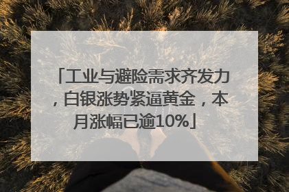 工业与避险需求齐发力，白银涨势紧逼黄金，本月涨幅已逾10%