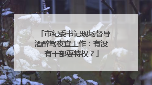 市纪委书记现场督导酒醉驾夜查工作：有没有干部耍特权？