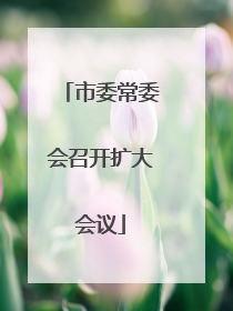 市委常委会召开扩大会议